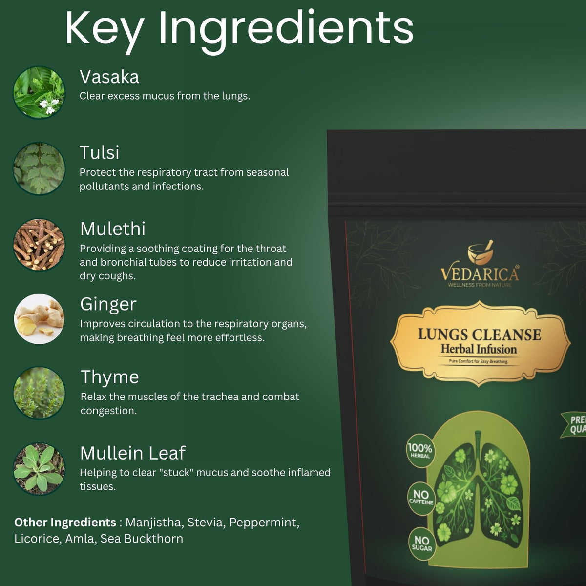 Lungs Cleanse Herbal Infusion